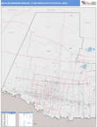 McAllen-Edinburg-Mission Metro Area Digital Map Color Cast Style